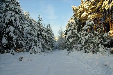 获奖三年后 《蔚蓝》开发者终于获得TGA奖杯