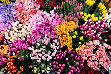 Metacritic站上线《GTA6》游戏页面 只登陆主机平台